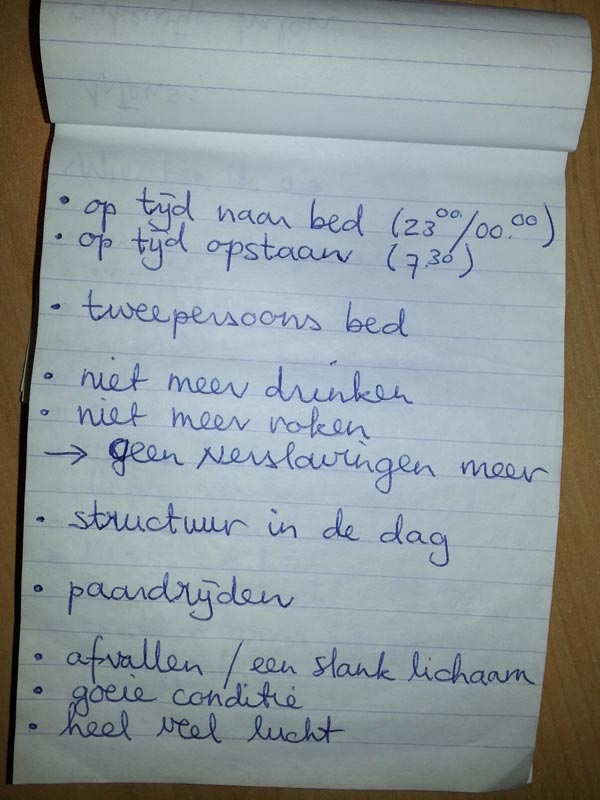 Op tijd naar bed; (23.00/00.00); op tijd opstaan (7.30); tweepersoons bed; niet meer drinken; niet meer roken; geen verslavingen meer; structuur in de dag; paardrijden; afvallen / een slank lichaam; goeie conditie; heel veel lucht;
